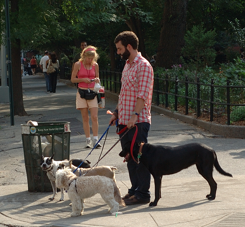 NY_SoHo_Greenwich_034.jpg - Greenwich Village - Dog Sitter