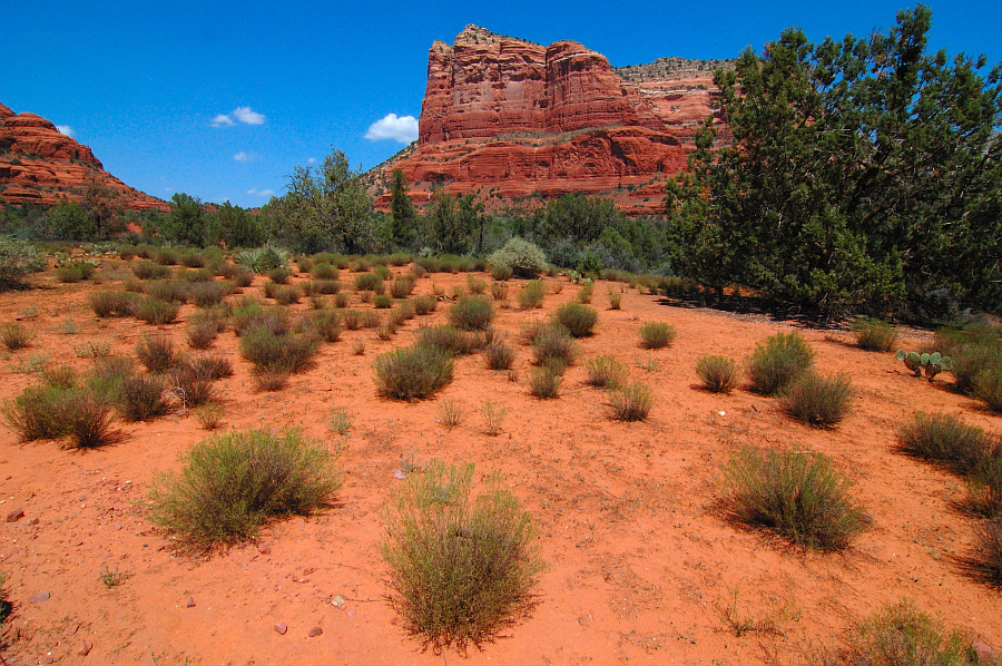 Arizona_007.jpg - Sedona