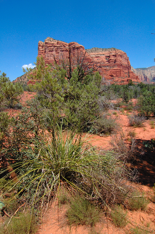 Arizona_008.jpg - Sedona