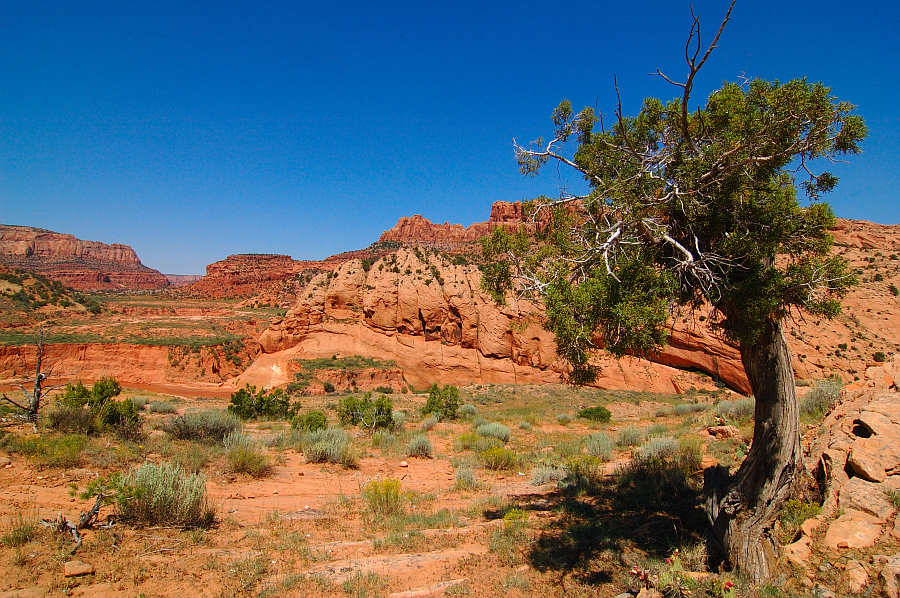 Arizona_034.jpg - Navajo Nation