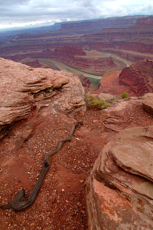 DeadHorsePoint_009.jpg - Dead Horse Point (veduta del fiume Colorado)