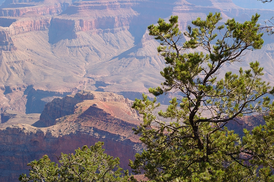 GrandCanyon_010.jpg - Mather Point