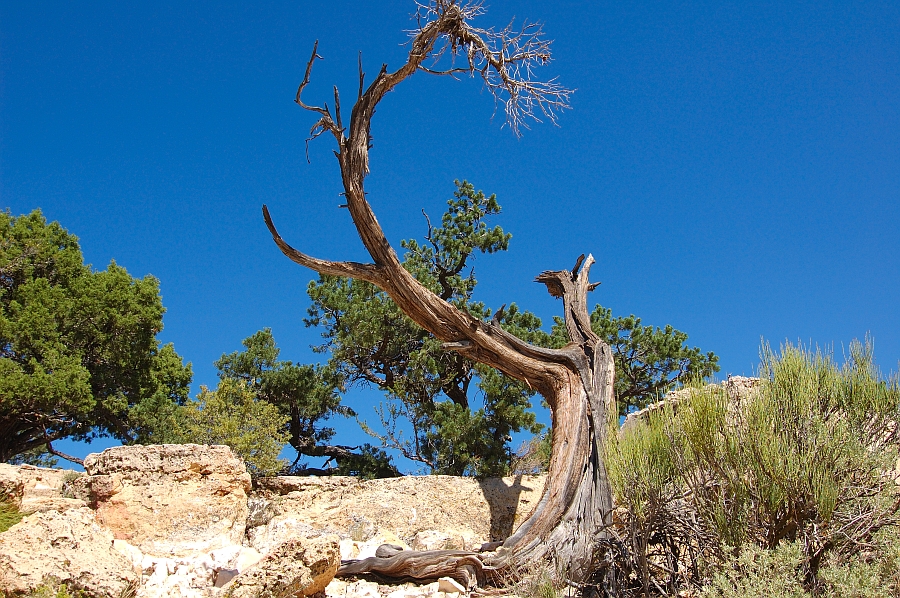 GrandCanyon_014.jpg - Maricopa Point