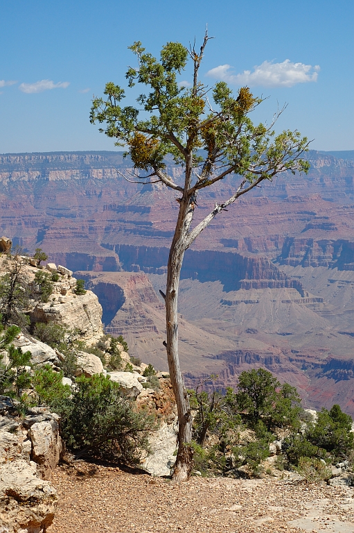 GrandCanyon_019.jpg - Powell Point