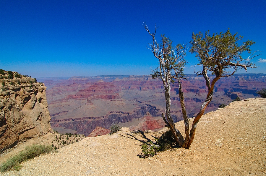 GrandCanyon_020.jpg - Powell Point