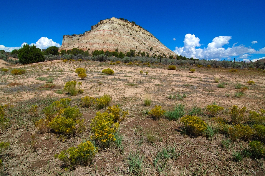 Utah_018.jpg - Route 12